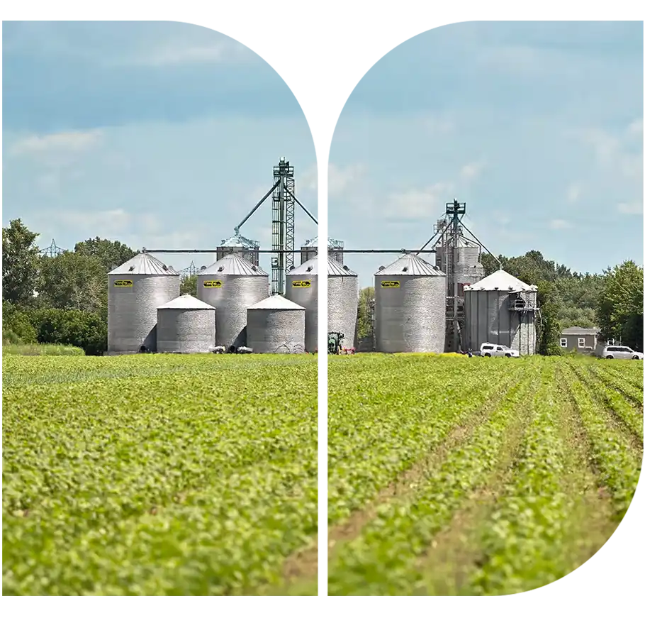 Nouveau centre de grains